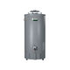 Series Discontinued: Conservationist® 74-Gallon Atmospheric Vent Commercial Gas Water Heater